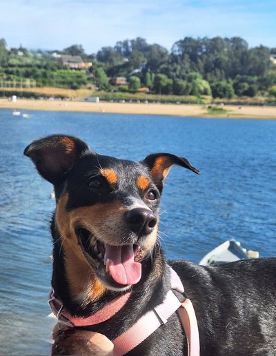 Cali